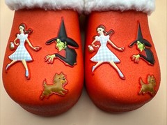 Wizard Of Oz Slip On Red Clogs Dorthy Toto & Wicked Witch Size Kids 13-1