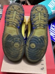 Size 4Y – Nike SB Dunk High 2019 Doernbecher 15th Anniversary 579604-740