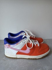 NIKE Dunk Low Everything You Need SZ Y 4.5 Or 6 Women EUC FN 0600 801