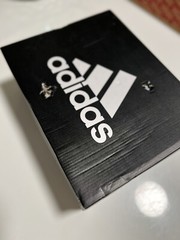 Adidas Hoops Mid 2.0 K