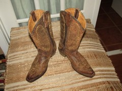 Corral A1028 Brown Leather Snip Toe Cross Wings Cowboy Boots Youth size 4