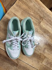 Nike Dunk Low GS Mint Green/White Leather Low Top Sneaker 4.5Y FZ3534-100