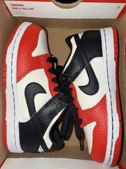 Nike NBA x Dunk Low EMB TD ’75th Anniversary Sneaker Size 11C, Bulls DC9562