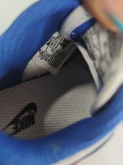 Nike Dunk Low Bright Crimson Game Royal (TD) Toddler Size 5C CW1589-104
