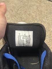 Jordan 2 Low Royal Blue