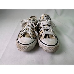 Converse Chuck Taylor All Star Low Zebra Animal Print Little Kids Shoes Sz 13.5