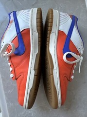 NIKE Dunk Low Everything You Need SZ Y 4.5 Or 6 Women EUC FN 0600 801