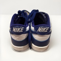 Nike Dunk Teens Blue/White Colorblock Low-Top Lace-Up Sneakers Rubber Outsole
