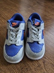 Nike Kids‘ Dunk Low Paint Splatter, Little Kid Sz 8