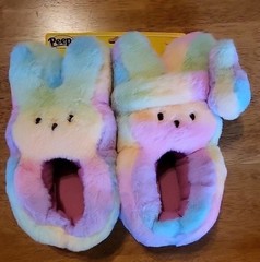 Peeps Slippers and Headband Set, Rainbow Size 13/1