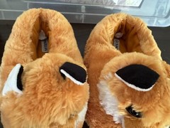 Fox Slippers – Magellan Outdoors – Size M6-7
