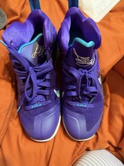 Nike LeBron 9 Hornets