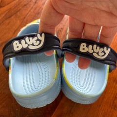 Crocs Bluey Bingo Kids Classic Clogs Blue Green J2 Jibbitz Charms Shoes