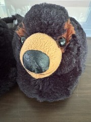 Bear Slippers – Magellan Outdoors – Size M4-5