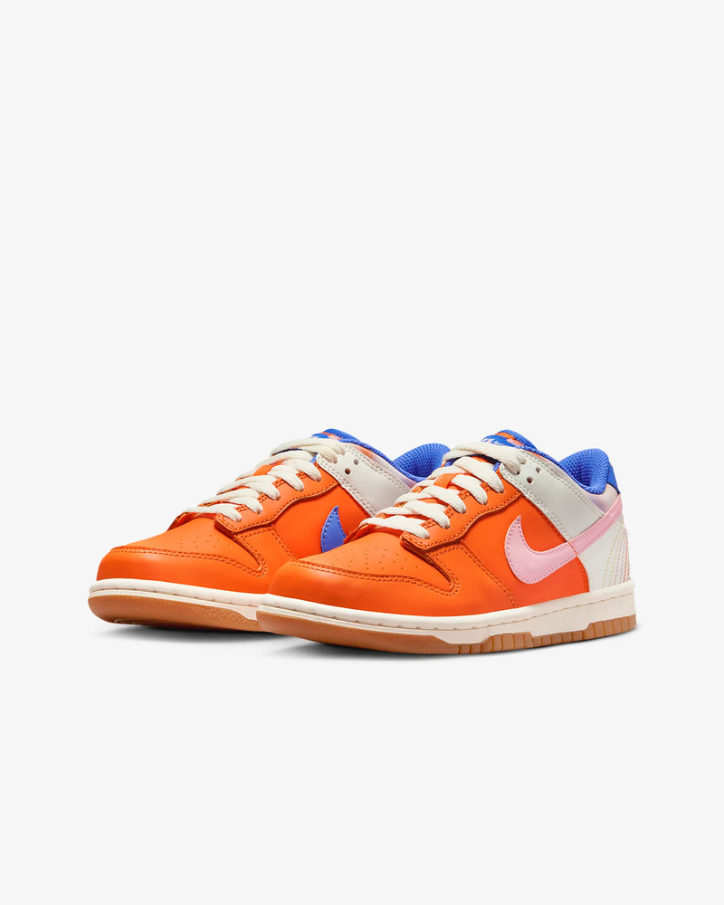 Nike Dunk Low SE GS Shoes Everything You need FN0600-801 Yth/Wmn