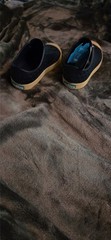 native shoes Jefferson Child in the color regatta blue/bone white