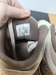 7y Low Jordan 3 Retro Palomino