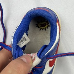 Nike Dunk Next Nature Superhero Toddler Boys Sneakers Shoes FD0675-400 SZ 5 C
