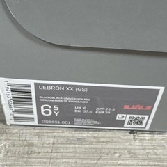 Nike LeBron XX (GS) 20 Trinity Size 6.5Y Youth Black Red Gold Swoosh DQ8651-001