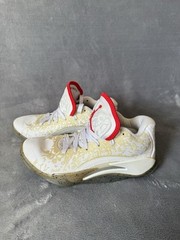 Nike Kid’s Jordan Zion 3 Training Size 4,5 Y White/Tan |DV3869-106|