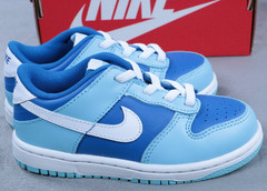 Nike Dunk Low TD Argon Blue Toddler Size 9C DV2634-400 Kids Sneakers New