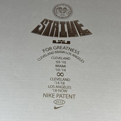 Nike LeBron XX (GS) 20 Trinity Size 6.5Y Youth Black Red Gold Swoosh DQ8651-001