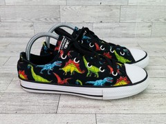 Converse Chuck Taylor All Star Colorful Dinosaurs Shoes Sneakers Kids Size 3