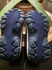 5 pairs – Dolce & Gabbana, Jordan, Adidas and Merrell tennis shoes bundle