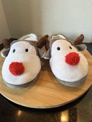 Rudolph The Red Nosed Reindeer Boys Girls Unisex Youth Slippers Size S/M