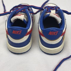 Nike Dunk Next Nature Superhero Toddler Boys Sneakers Shoes FD0675-400 SZ 5 C