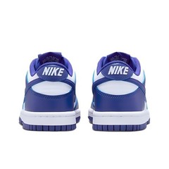 Nike Dunk Low Concord GS – FB9109-106 MT