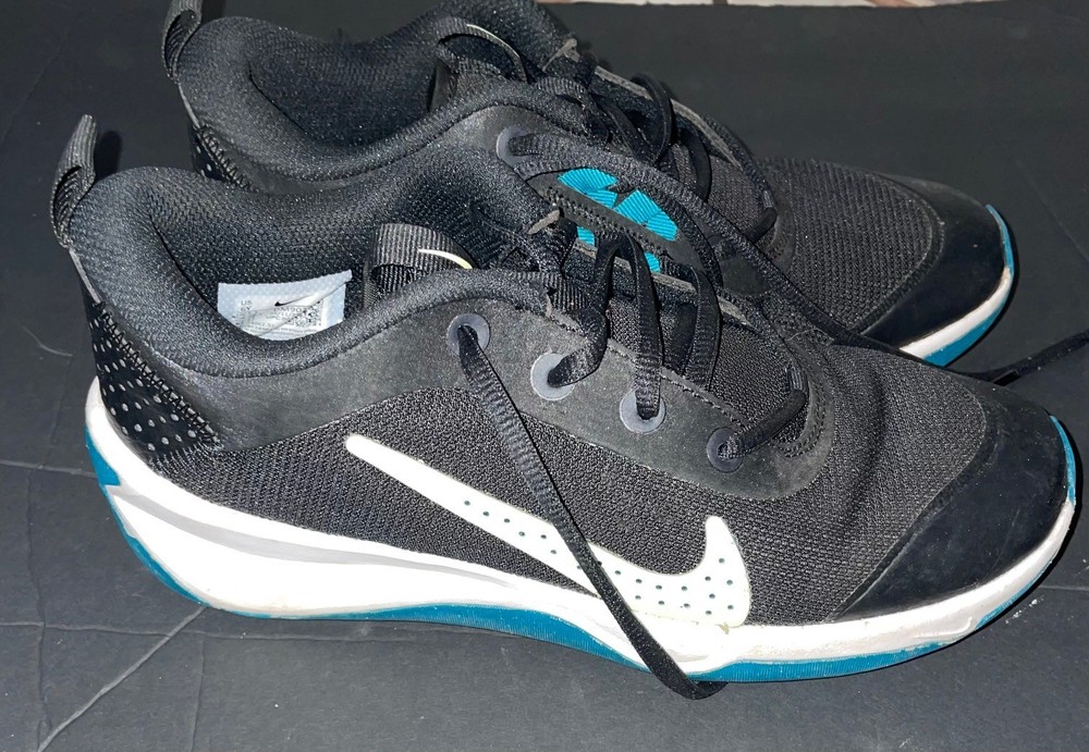 Nike Omni Multi-Court Low Black Bright Spruce – DM9027-003