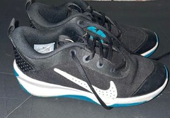 Nike Omni Multi-Court Low Black Bright Spruce – DM9027-003