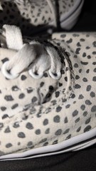 Vans Authentic Kids Size 1.5 White Black Polka Dot Dalmatian Lace Up Shoes