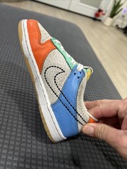 Size 1y Nike Dunk Low “Nike 101” Multi-Color Low Top DX3364-100 Kids Used No Box