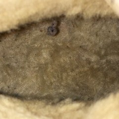 UGG Boots Youth 6 Bailey Button Shearling Brown Round Toe Ankle Top SN 5991