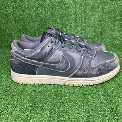 Nike Dunk Low Size 3Y Youth Dunk Blazer SB Skate Shoes – DQ6216-001