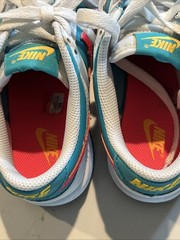Nike Dunk Low Dusty Cactus Thunder Blue HF4794-345 Youth Size 4