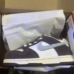 Nike Dunk Low SE White/Glacier Blue Size 8c