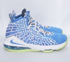 2020 LeBron 17 GS ‚Sprite‘ Size 5Y Blue-Ghost Green BQ5594-434