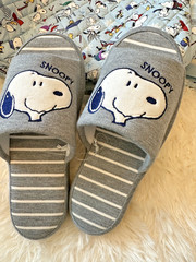 Peanuts Snoopy house Slippers US Youth Big Kid size 5/6 -GRAY NEW Japan