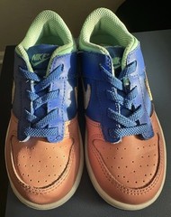 Nike Dunk Low SE Salmon Toe 9C Toddler Kids Shoes