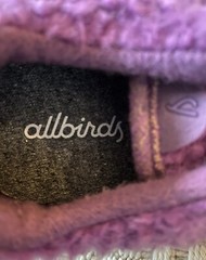 ALLBIRDS SBR Smallbirds Wool Runner Fluffy Fuzzy Wool Kids Sneakers – Y1 Youth 1