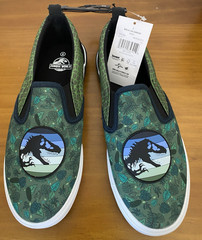Jurassic World Rebirth Unisex Kids US 6 Slip-On Casual Shoes Green/Black