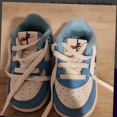 Nike Dunk Low Leather Colorblock Blue/White Low Top Lace-Up Unisex Kids 6c