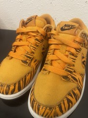 Nike Dunk Low Next Nature Tiger Stripes Toddler Sneakers DZ5633-800 Size 13C