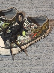 Converse All Star Junior Interstellar Dinos Dinosaurs Sneakers 665392C Size 12