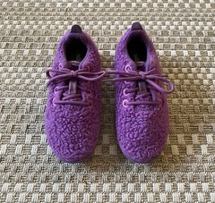 ALLBIRDS SBR Smallbirds Wool Runner Fluffy Fuzzy Wool Kids Sneakers – Y1 Youth 1