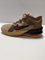 Size 5.5 (GS) – Nike LeBron 18 x Space Jam Low Wile E. x Roadrunner