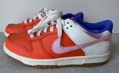 NIKE Dunk Low Everything You Need SZ Y 4.5 Or 6 Women EUC FN 0600 801
